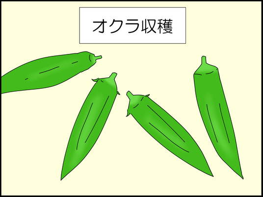 イラスト_005