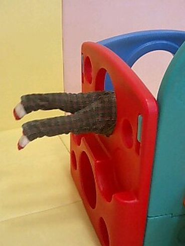 moroの家族と、ハンドメイドと。