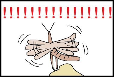 moroの家族と、ハンドメイドと。