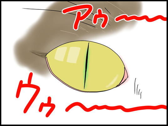 ブログ0005