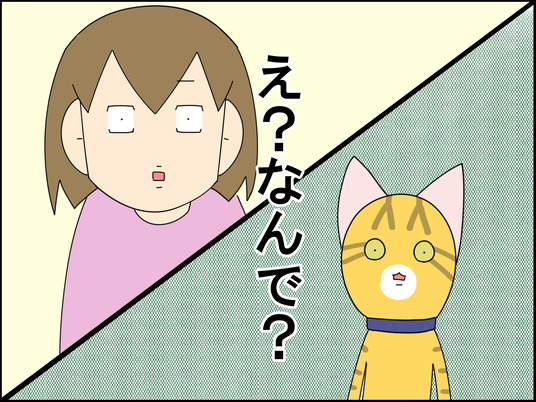 イラスト_013