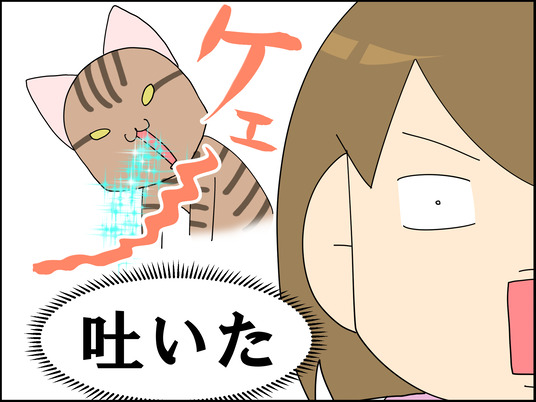 イラスト_003