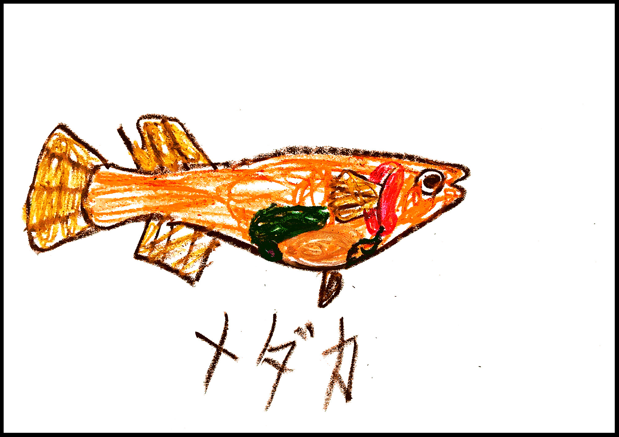 こもたろの魚コレクション Moroの家族と ハンドメイドと Moroオフィシャルブログ Powered By ライブドアブログ こもたろの魚コレクション Moroの家族と ハンドメイドと Moroオフィシャルブログ Powered By ライブドアブログ