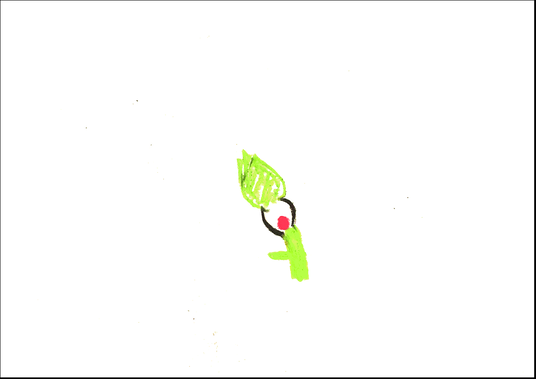 31