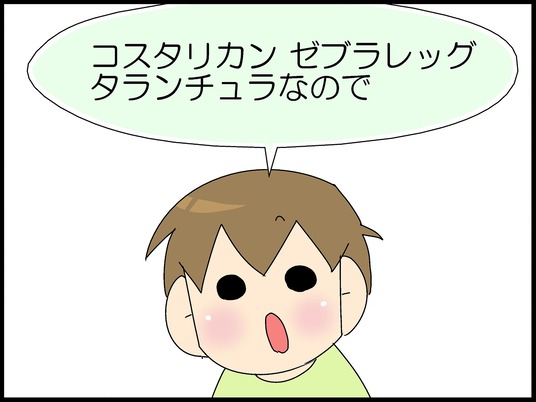ブログ0008