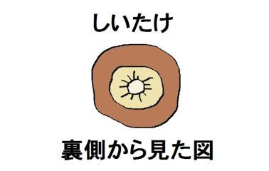 moroの家族と、ハンドメイドと。