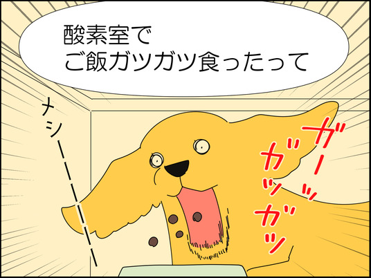 イラスト_037