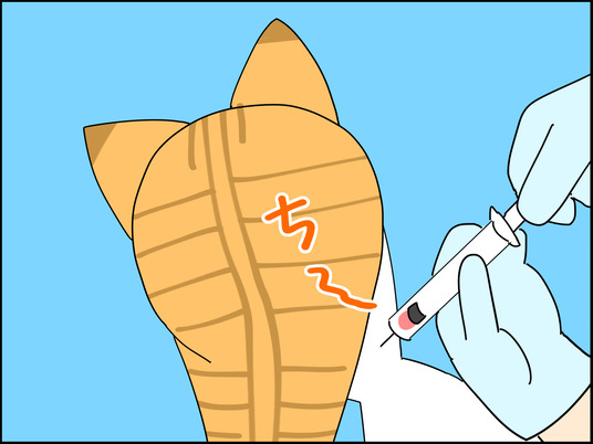 イラスト_005