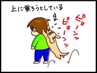 moroの家族と、ハンドメイドと。