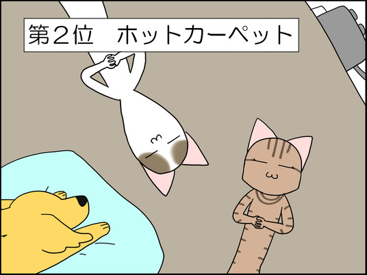 イラスト_003