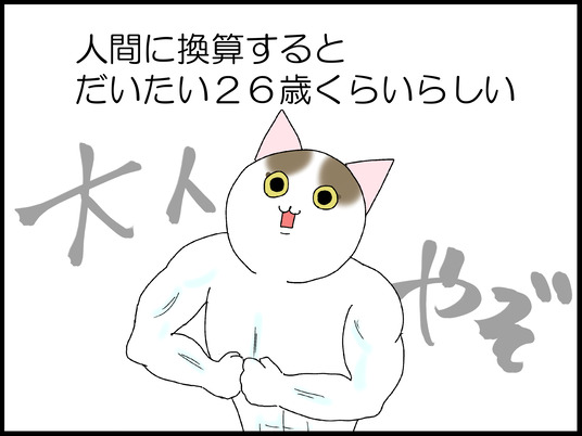ブログ0001