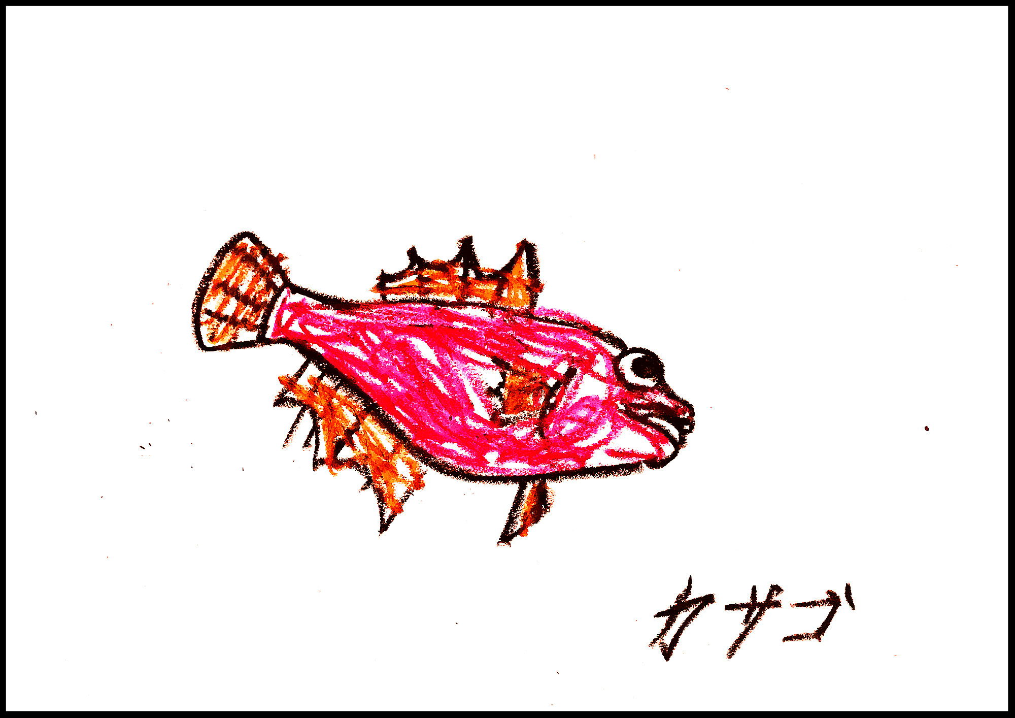 こもたろの魚コレクション Moroの家族と ハンドメイドと Moroオフィシャルブログ Powered By ライブドアブログ こもたろの魚コレクション Moroの家族と ハンドメイドと Moroオフィシャルブログ Powered By ライブドアブログ