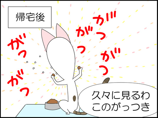 イラスト_064