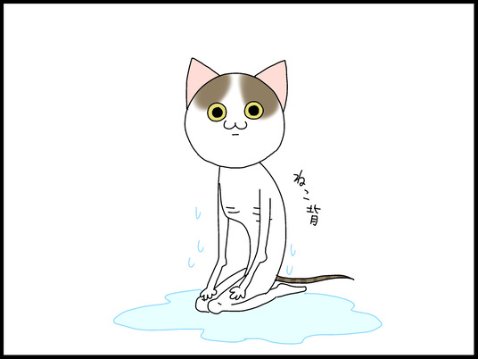 ブログ0007