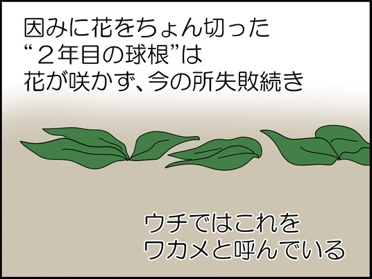 イラスト_011
