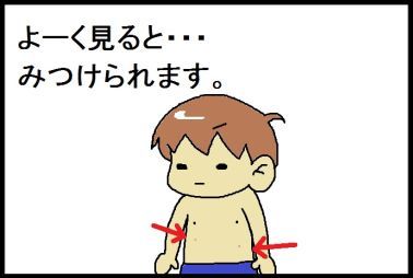 moroの家族と、ハンドメイドと。