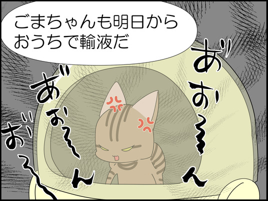 イラスト_017