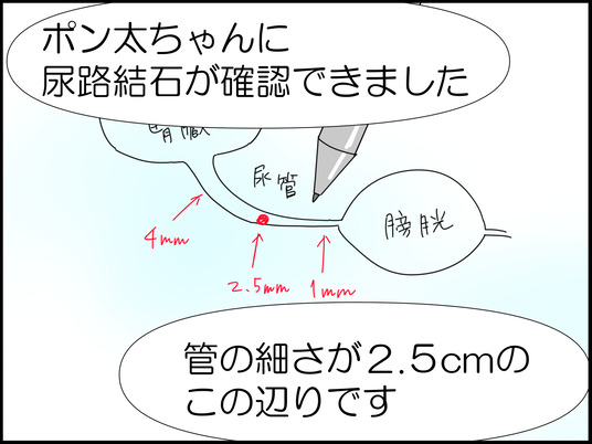 イラスト_079