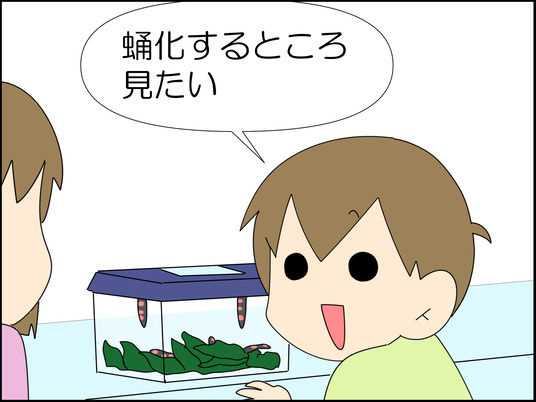 イラスト_003