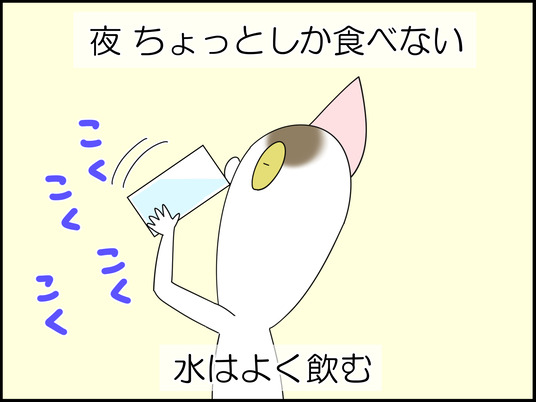 イラスト_007