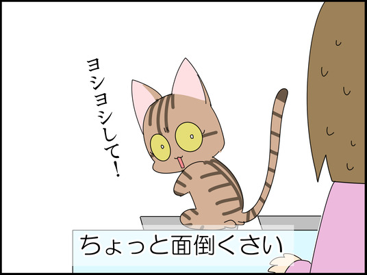 イラスト_012