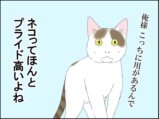 イラスト_013