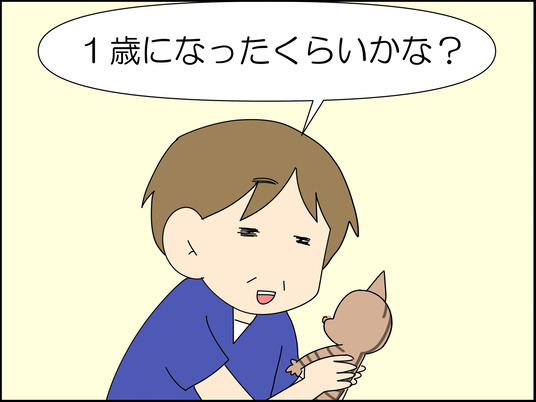 イラスト_002