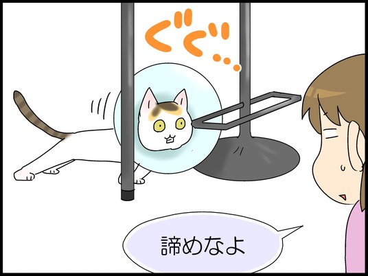 ブログ0003