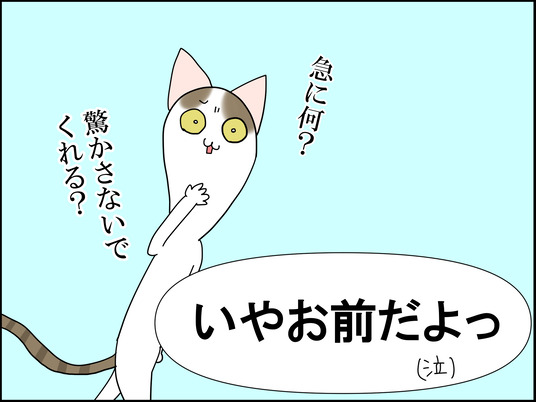 イラスト_015