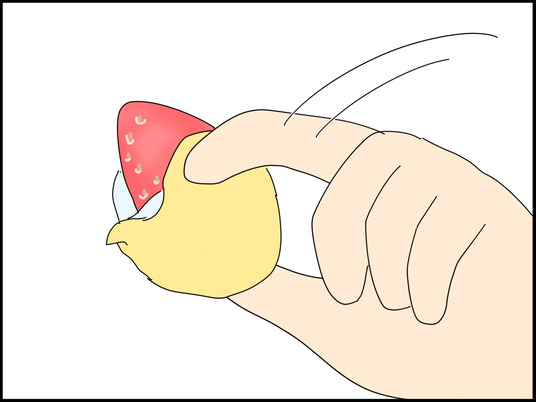 イラスト_061