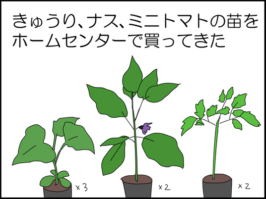 イラスト_003