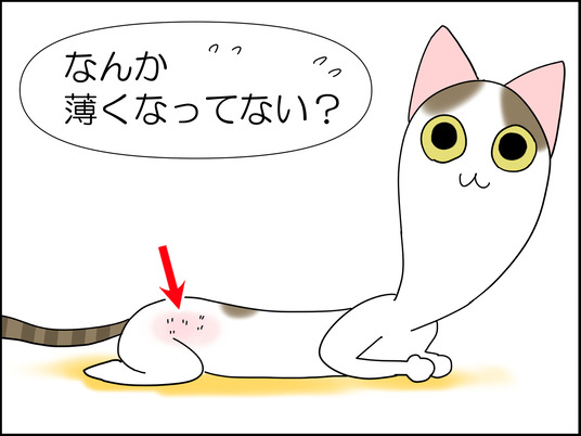 イラスト_002