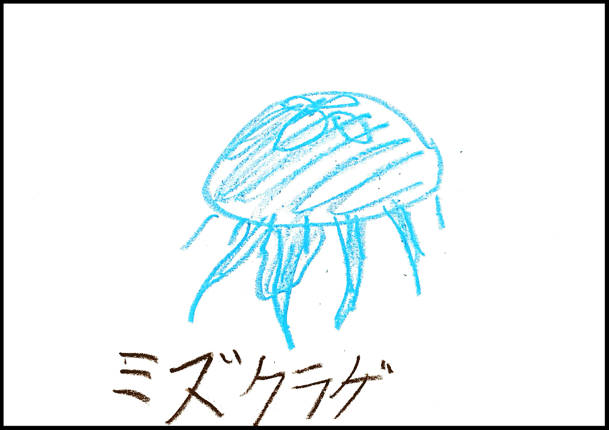 こもたろの魚コレクション Moroの家族と ハンドメイドと Moroオフィシャルブログ Powered By ライブドアブログ こもたろの魚コレクション Moroの家族と ハンドメイドと Moroオフィシャルブログ Powered By ライブドアブログ