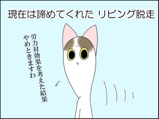 イラスト_003