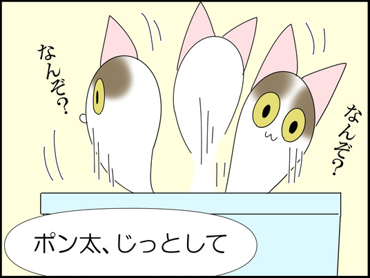イラスト_025