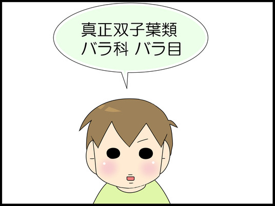 イラスト４