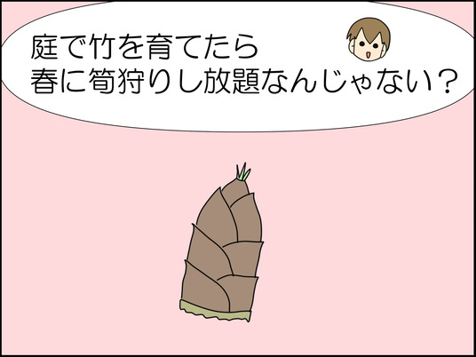イラスト_008