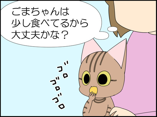 イラスト_001