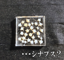 YKBO9789