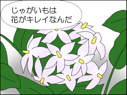 イラスト2_003