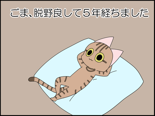 イラスト_001