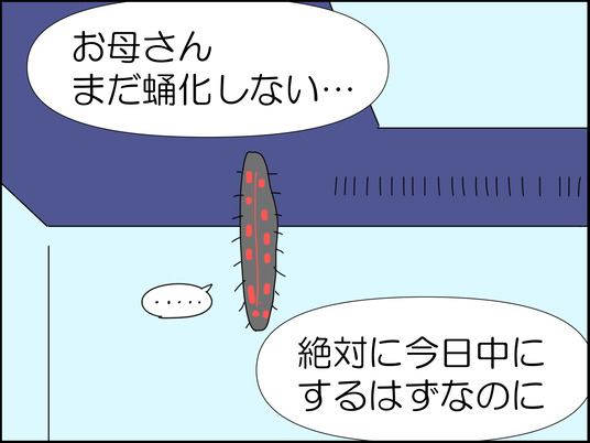 イラスト_005