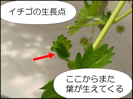 イラスト_018