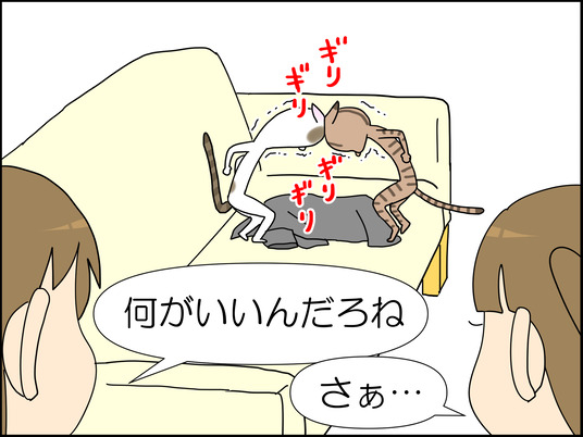 イラスト_009