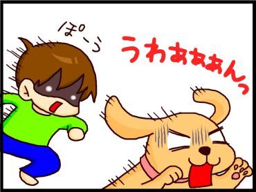moroの家族と、ハンドメイドと。