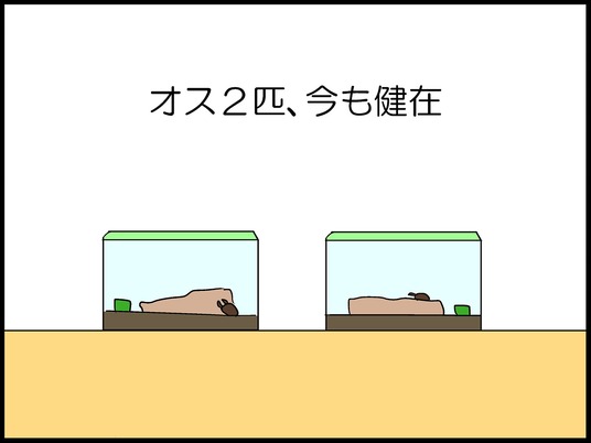 ブログ0006
