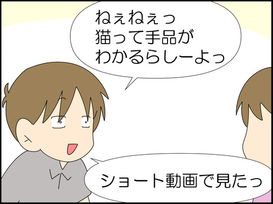 イラスト_001