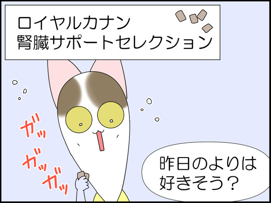 イラスト_026