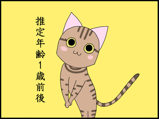 ブログ0011