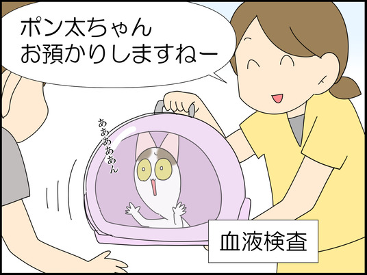 イラスト_075